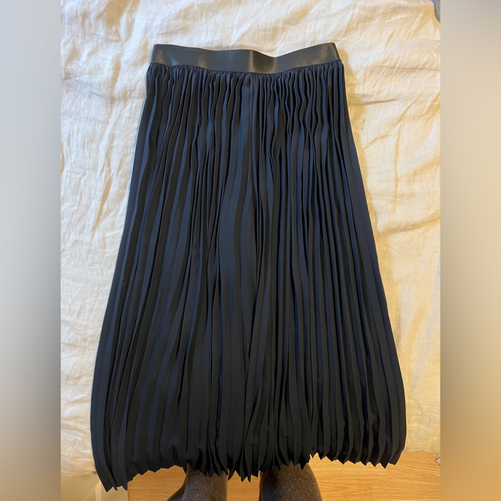 Zara Navy Pleated Pants